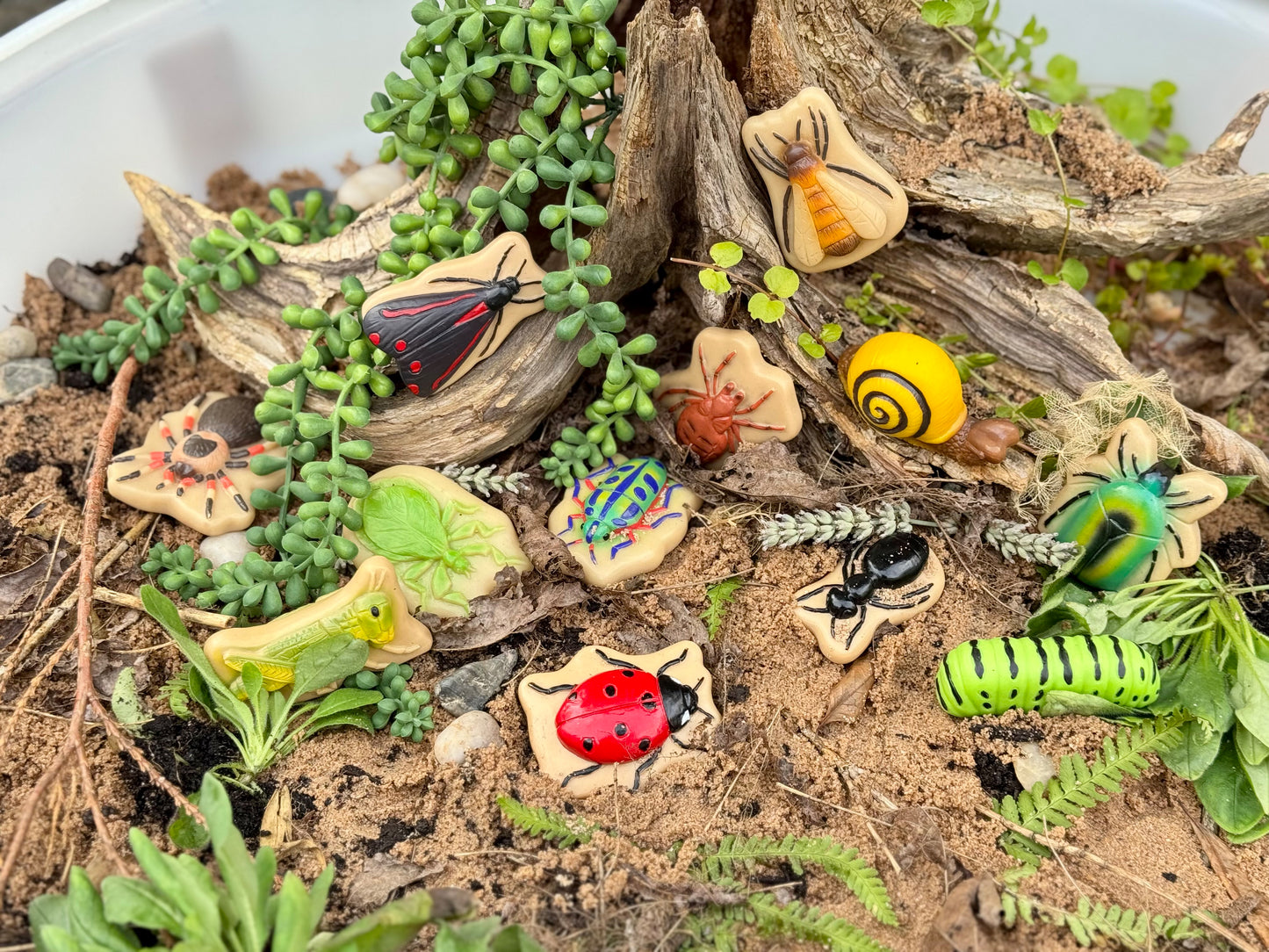 Bugs – Sensory Play Stones - NEW