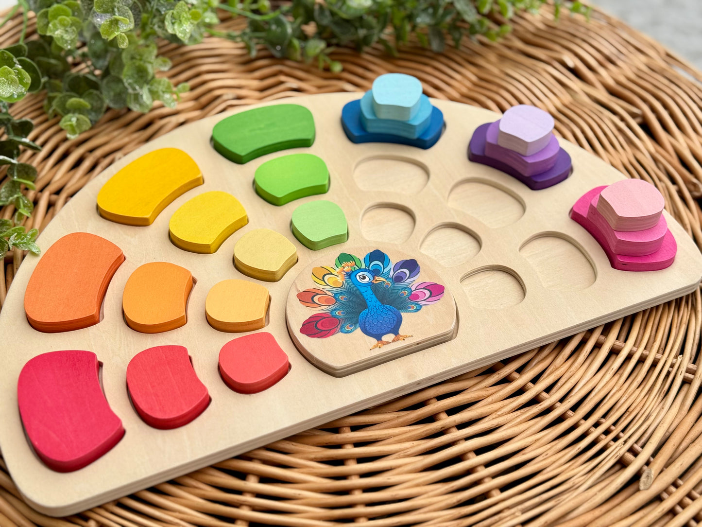 Pattern and play Peacock - NEW