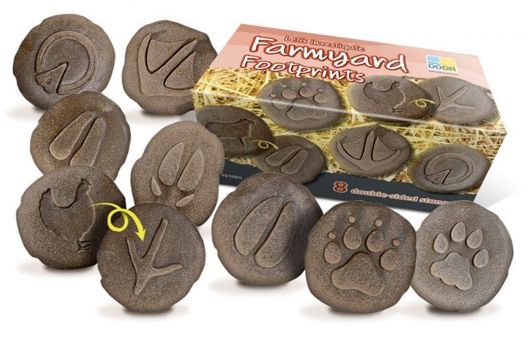 Let's invetsigate Safari animals (indoor or outdoor) - Edutrayplay ltd