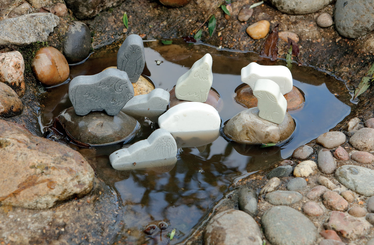 Little lands - polar - NEW Black friday