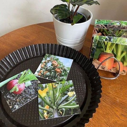 Teddo Play - Where Our Food Grows? - Edutrayplay ltd