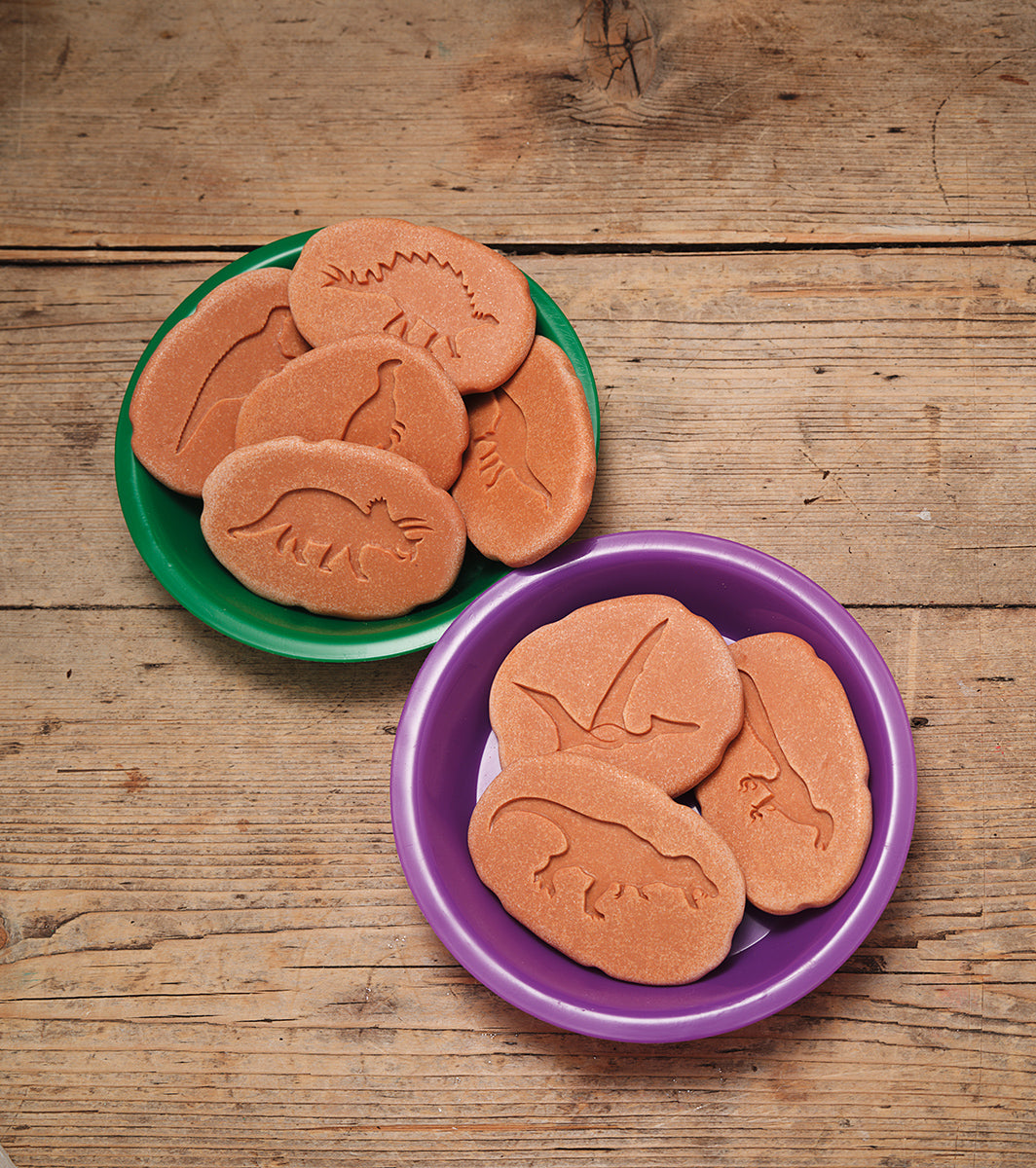 let's investigate dinosaurs (indoor or outdoor) - Edutrayplay ltd