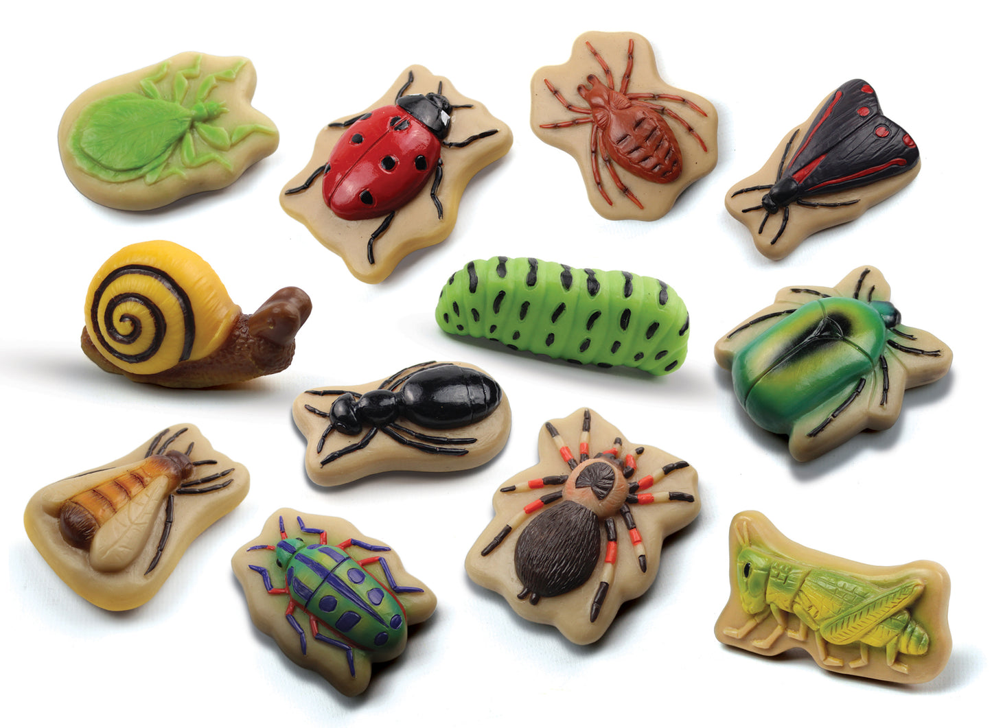Bugs – Sensory Play Stones - NEW