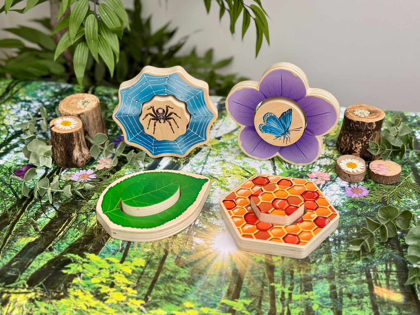 Who’s Hiding? Garden Bugs - NEW