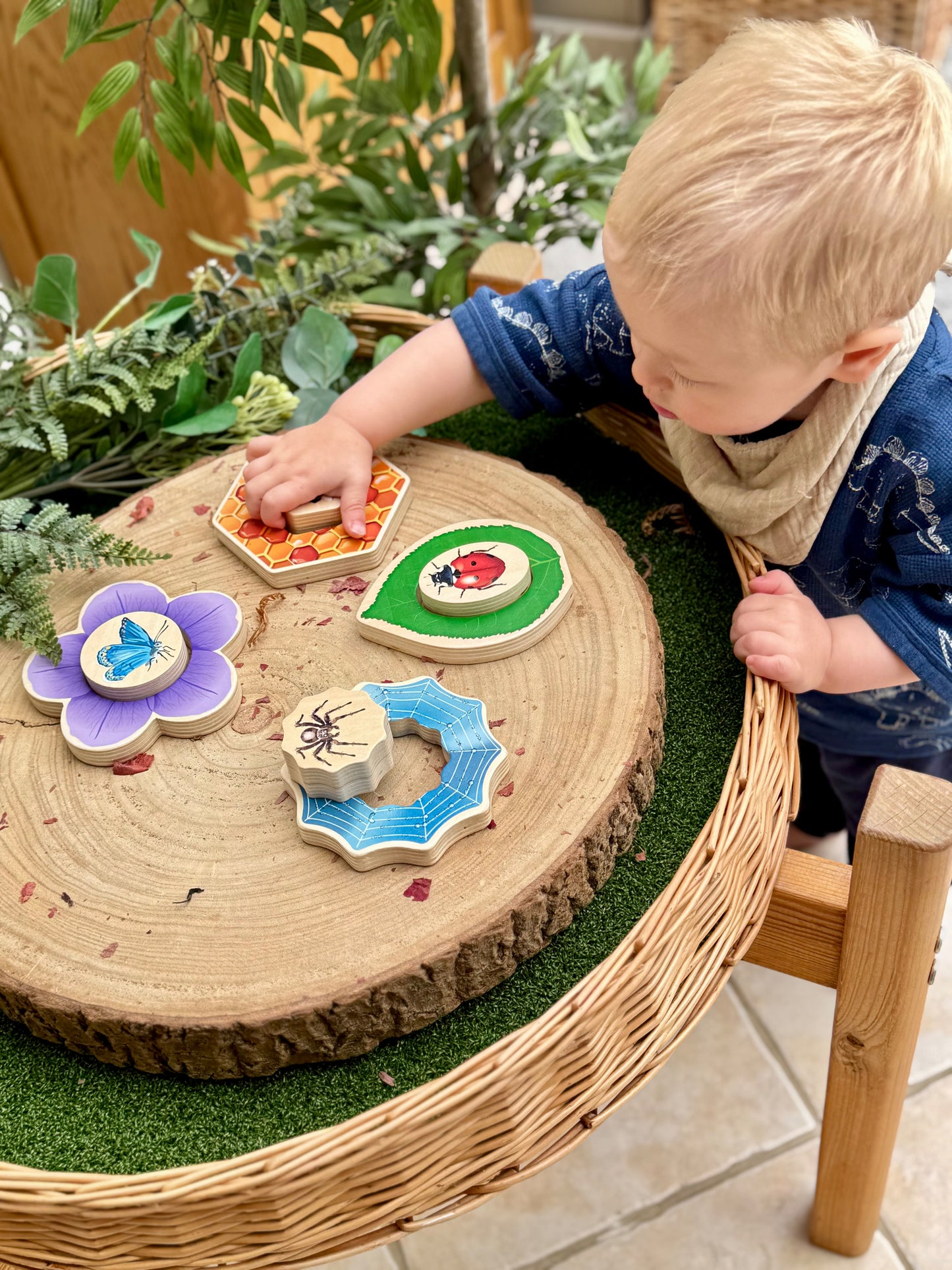 Who’s Hiding? Garden Bugs - NEW