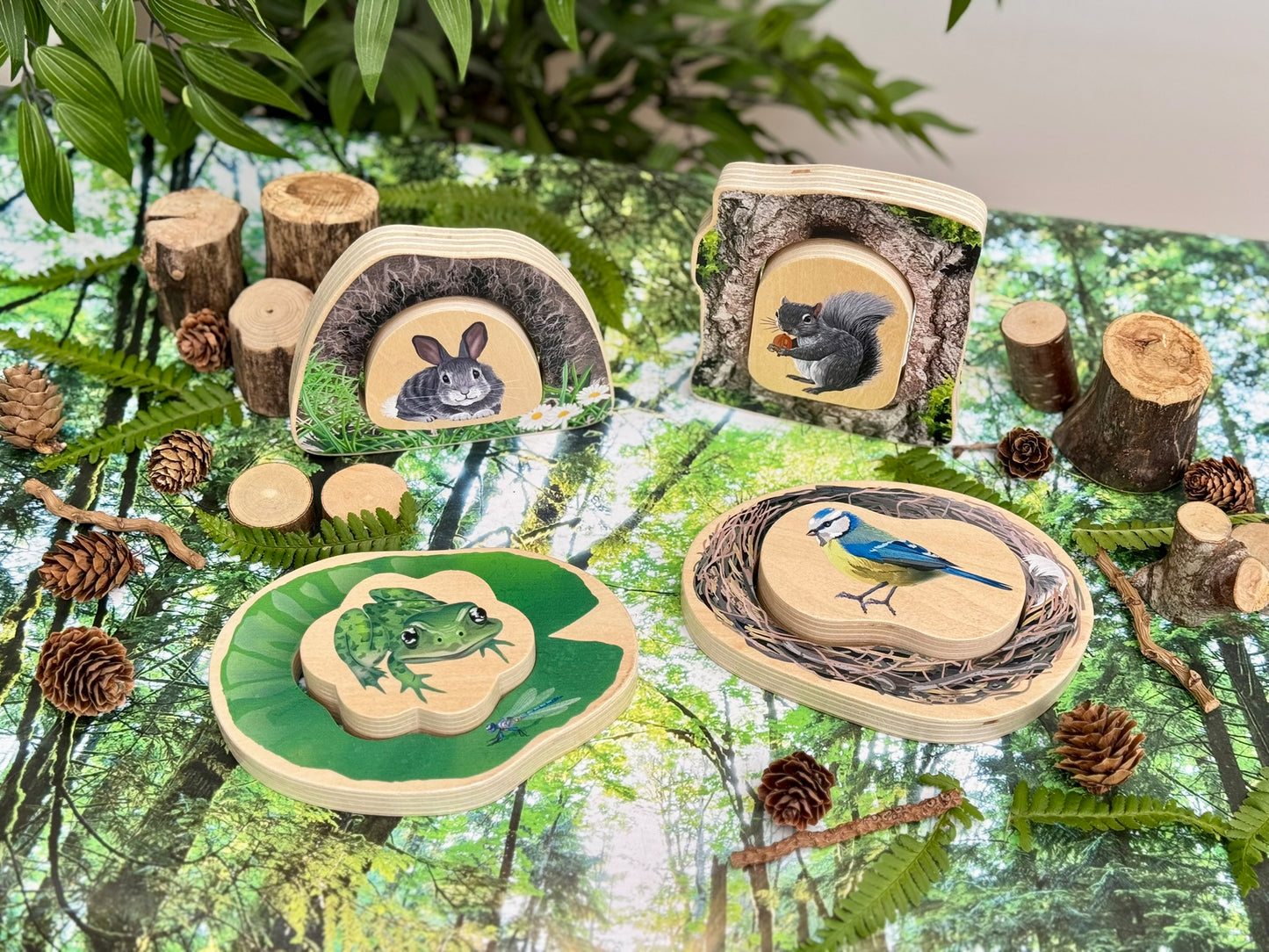 Who’s Hiding woodland animals - NEW