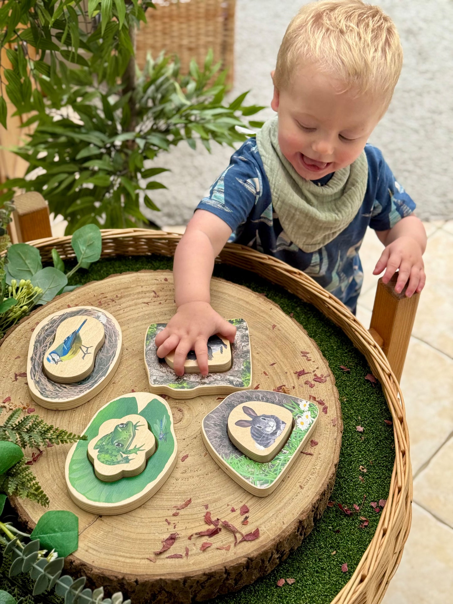 Who’s Hiding woodland animals - NEW