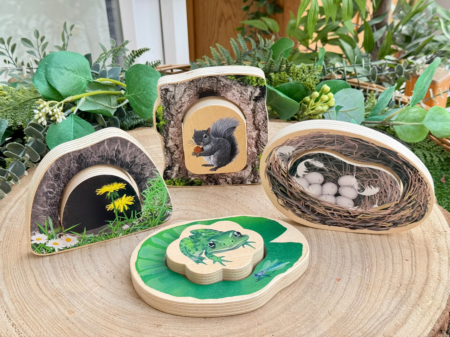 Who’s Hiding woodland animals - NEW