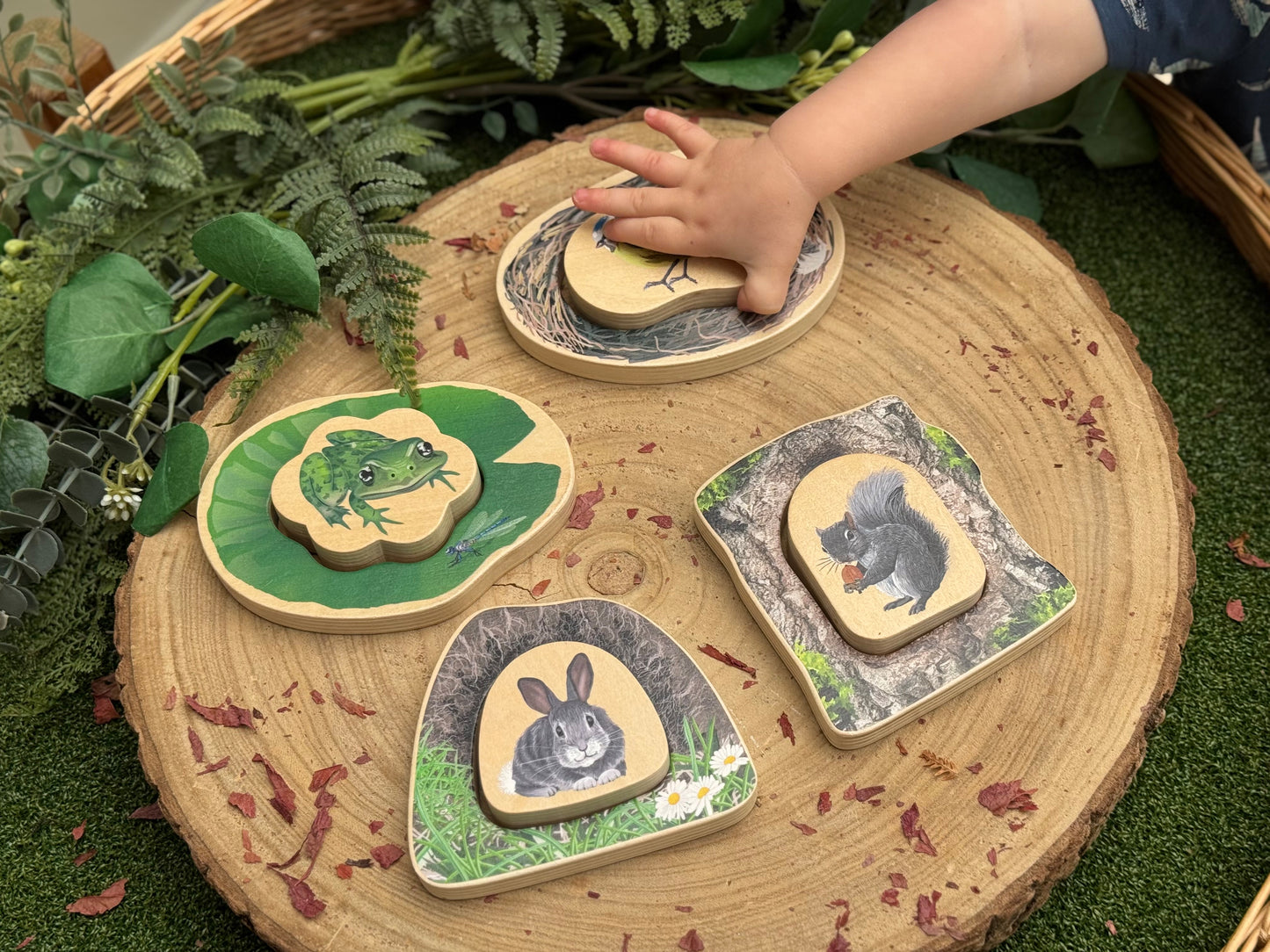 Who’s Hiding woodland animals - NEW