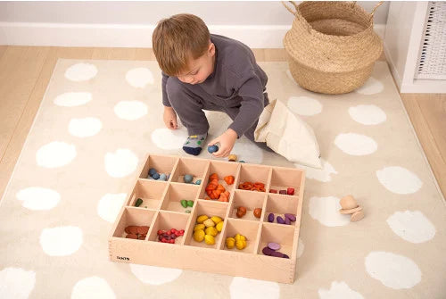 Wooden Treasures Super Set + Wooden Sorting Tray (14-Way) - NEW