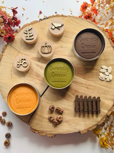 pumpkin Sensory Toolkit