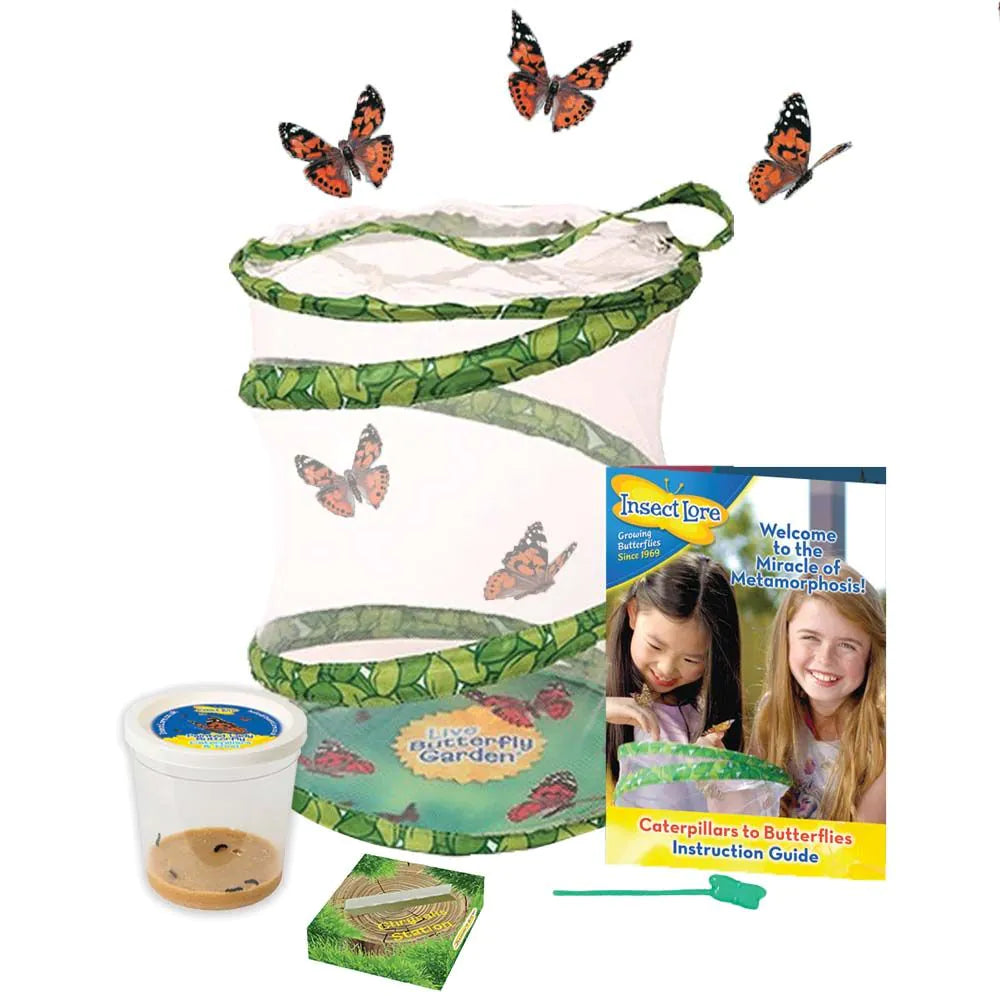 Butterfly garden caterpillars to butterflies kit - NEW SALE PRE ORDER