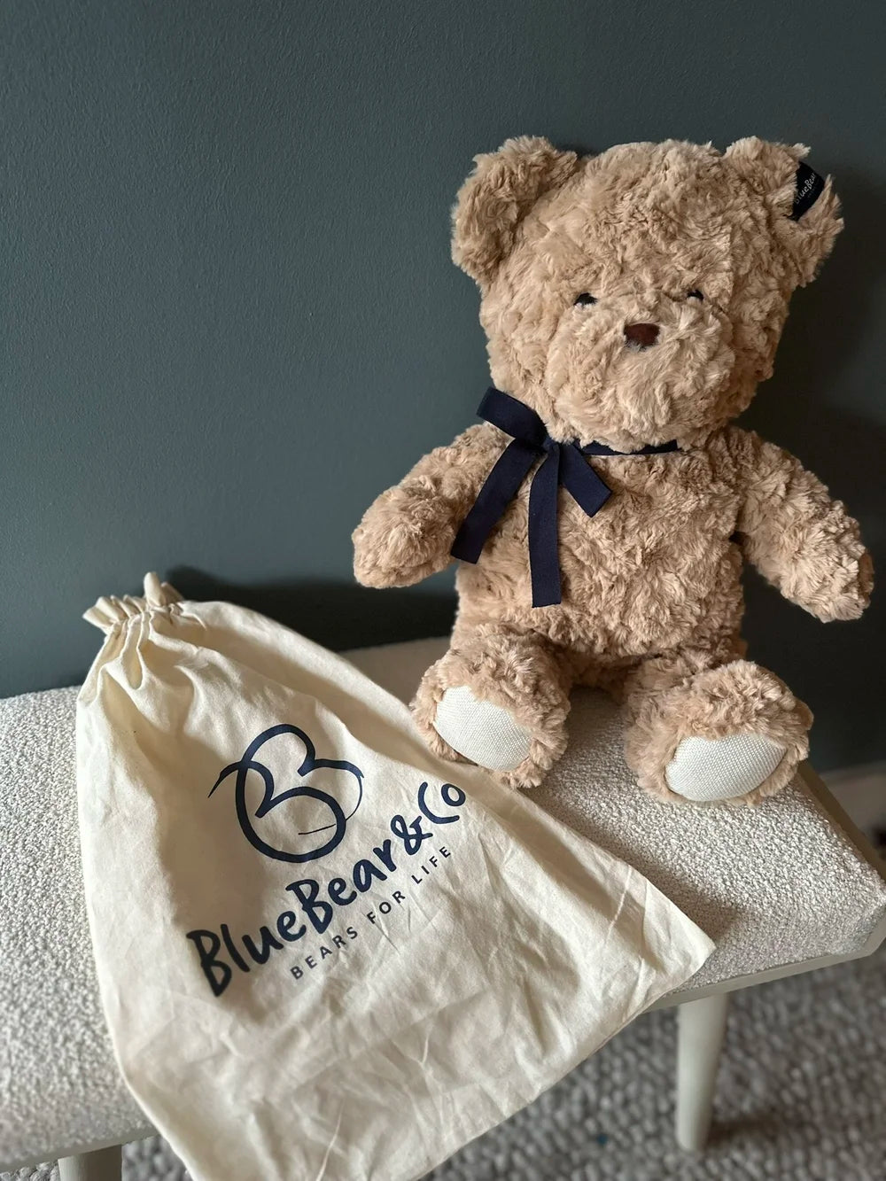 Blue bear company memory/comfort/sensory luxury bear