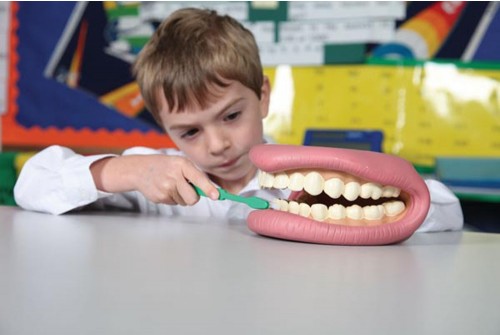 Giant dental demonstration - mouth hygiene
