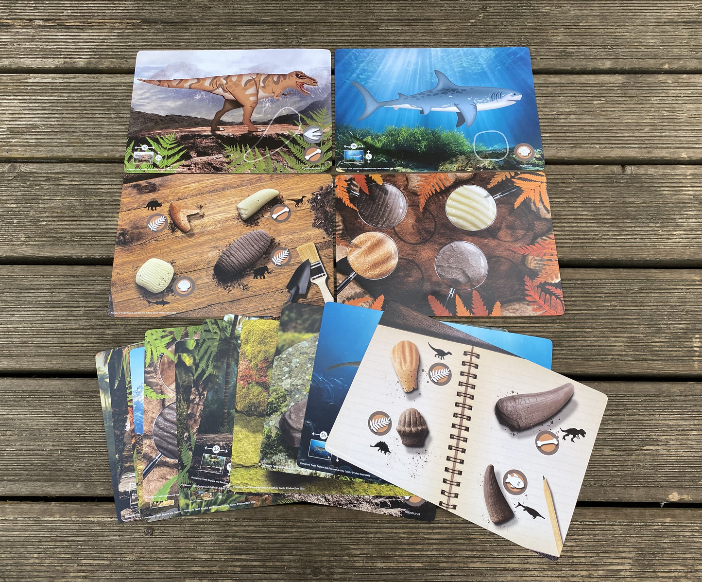 Let's investigate prehistoric teeth and/or matching cards - NEW