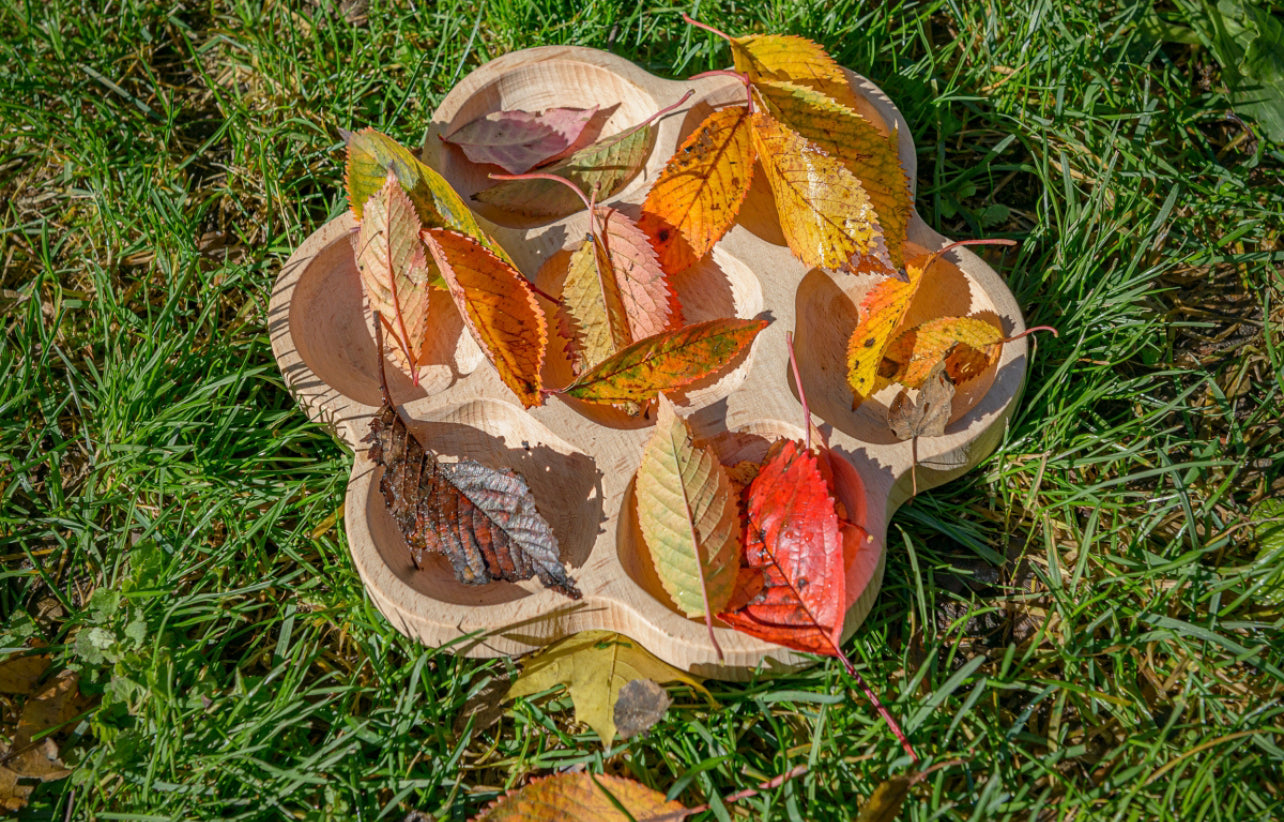 Flower sorting tray - Edutrayplay ltd