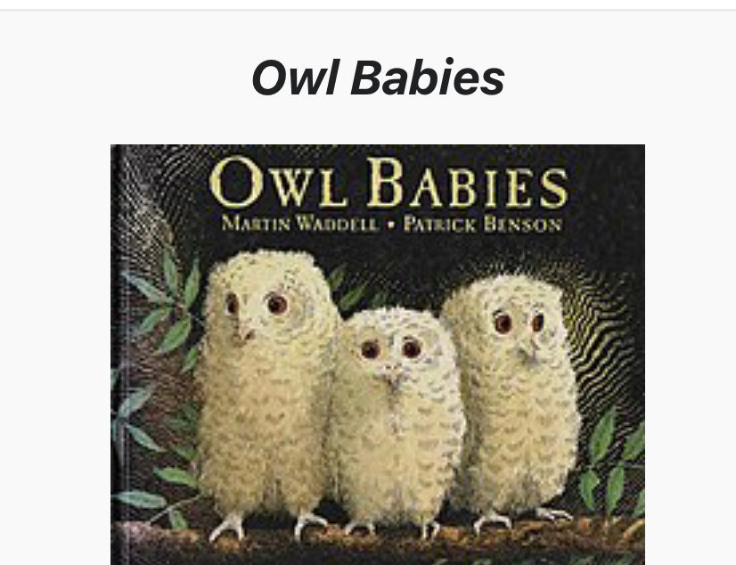 Owl babies reading book  - discounted item - Edutrayplay ltd