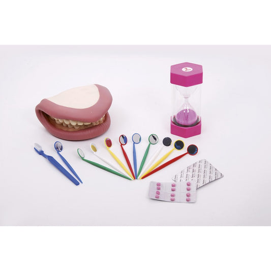 Dental educational hygiene classroom kit