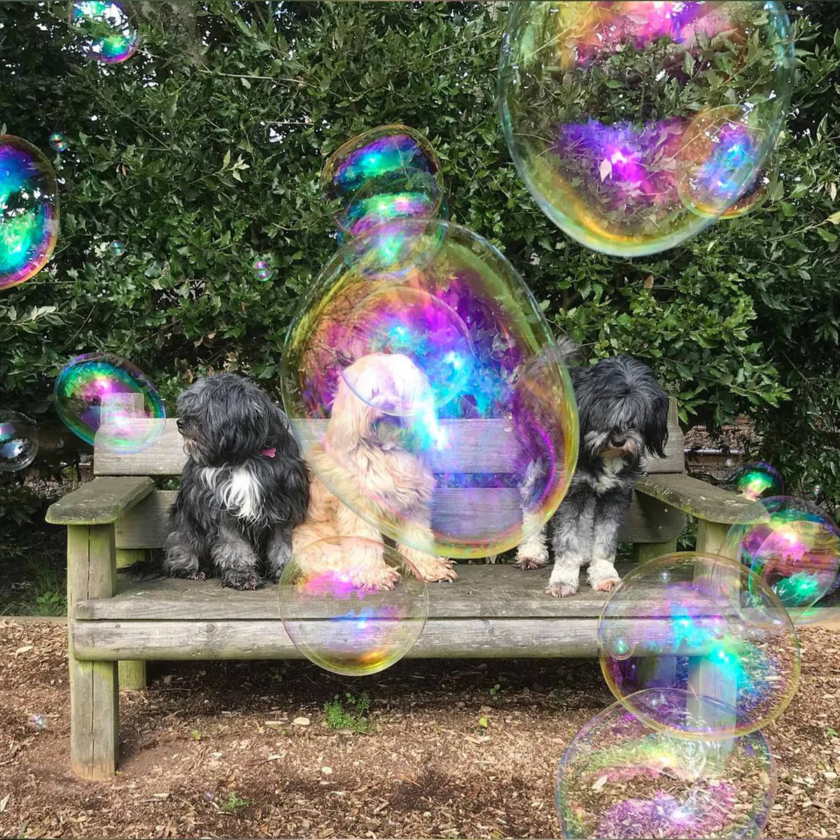 Dog & Cat scented bubbles - introductory price